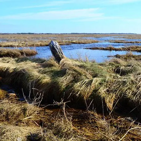 Haus-nordsee-whg-02 Appartement *